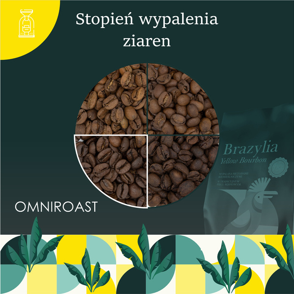 Kawa ziarnista Brazylia Yellow Bourbon 250 g – 100% Arabica – Quba Caffe